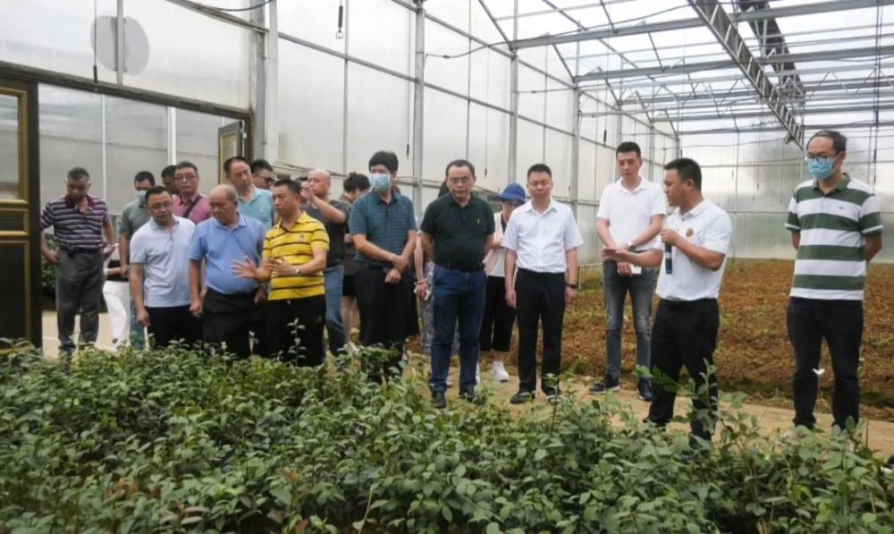 廣東省林業(yè)產(chǎn)業(yè)協(xié)會赴玉屏考察油茶產(chǎn)業(yè)，助力產(chǎn)業(yè)升級與市場拓展