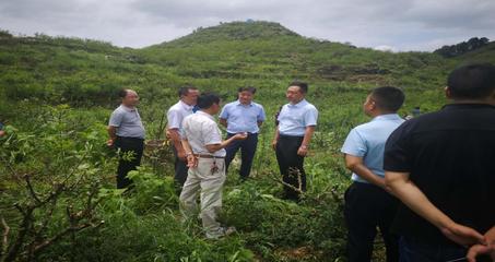 遵義市林業(yè)局 構(gòu)建綠色產(chǎn)業(yè)體系，推動(dòng)林業(yè)產(chǎn)品銷(xiāo)售高質(zhì)量發(fā)展