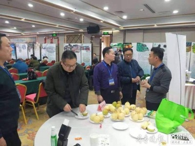 陽(yáng)信鴨梨榮獲“全國(guó)綠色農(nóng)業(yè)十佳地標(biāo)品牌”稱(chēng)號(hào)，綠色農(nóng)業(yè)品牌價(jià)值再提升