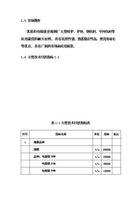 (終稿)電熔鎂生產線新增項目可行性立項申報論證報告.doc(最終版)